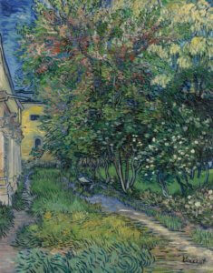 il giardino dell'istituto di Saint Rémy Vincent Van Gogh mostra vicenza basilica palladiana