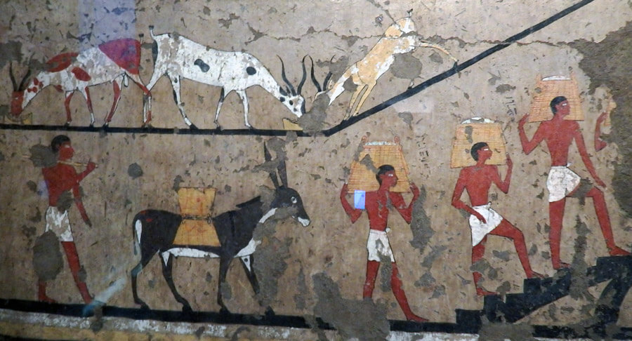 Museo Egizio Torino Tomba Iti Neferu