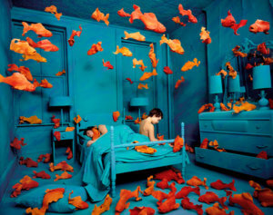 sandy skoglund mostra torino