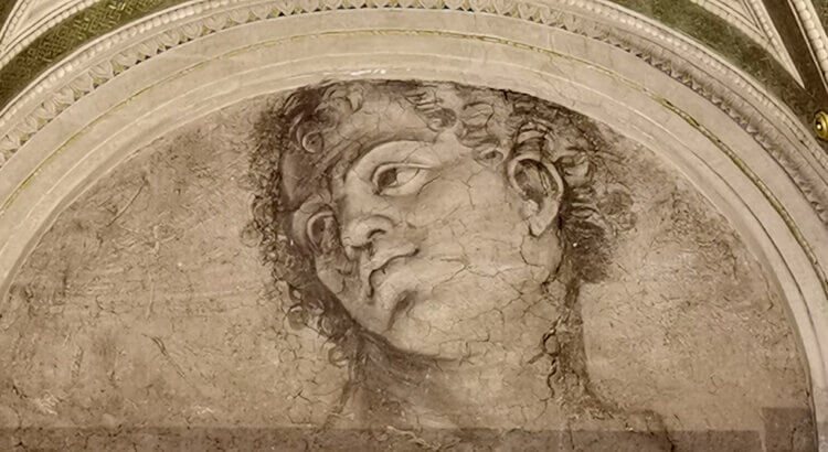 loggia di galatea testa di giovane michelangelo