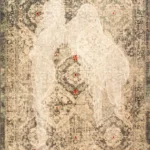 omar galliani