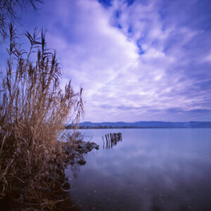 maria francesca bottari